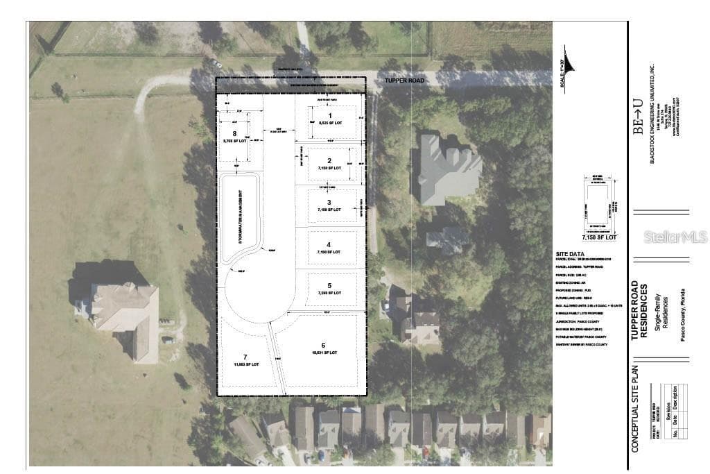 Wesley Chapel · 2.65 acres · across from Saddlebrook photo 3