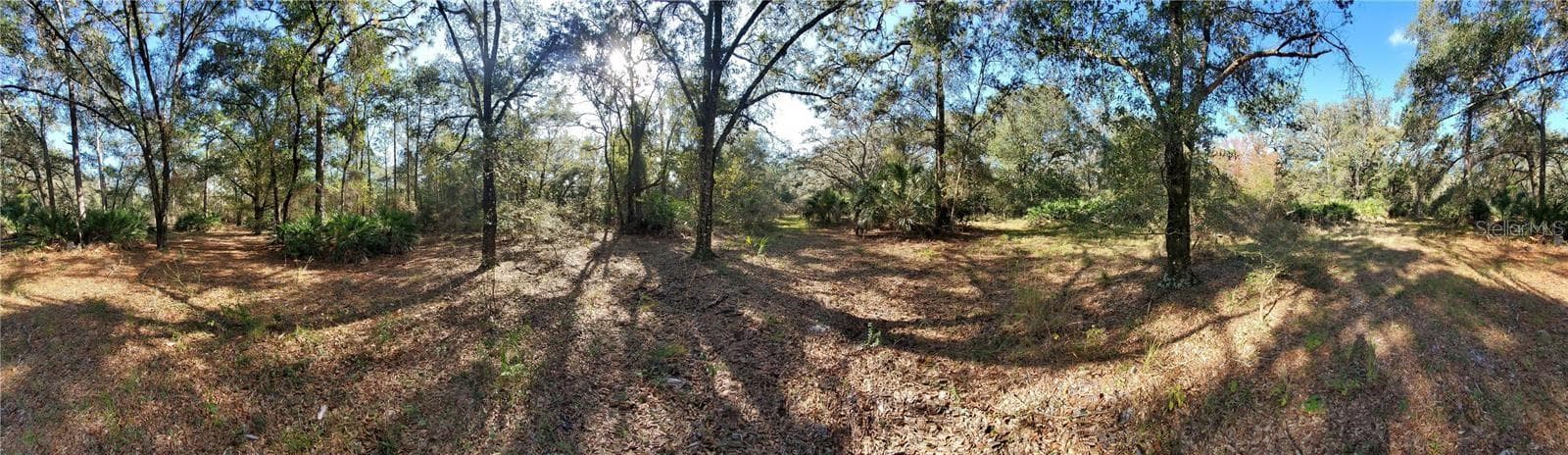 8738 Lindy Ln photo 3