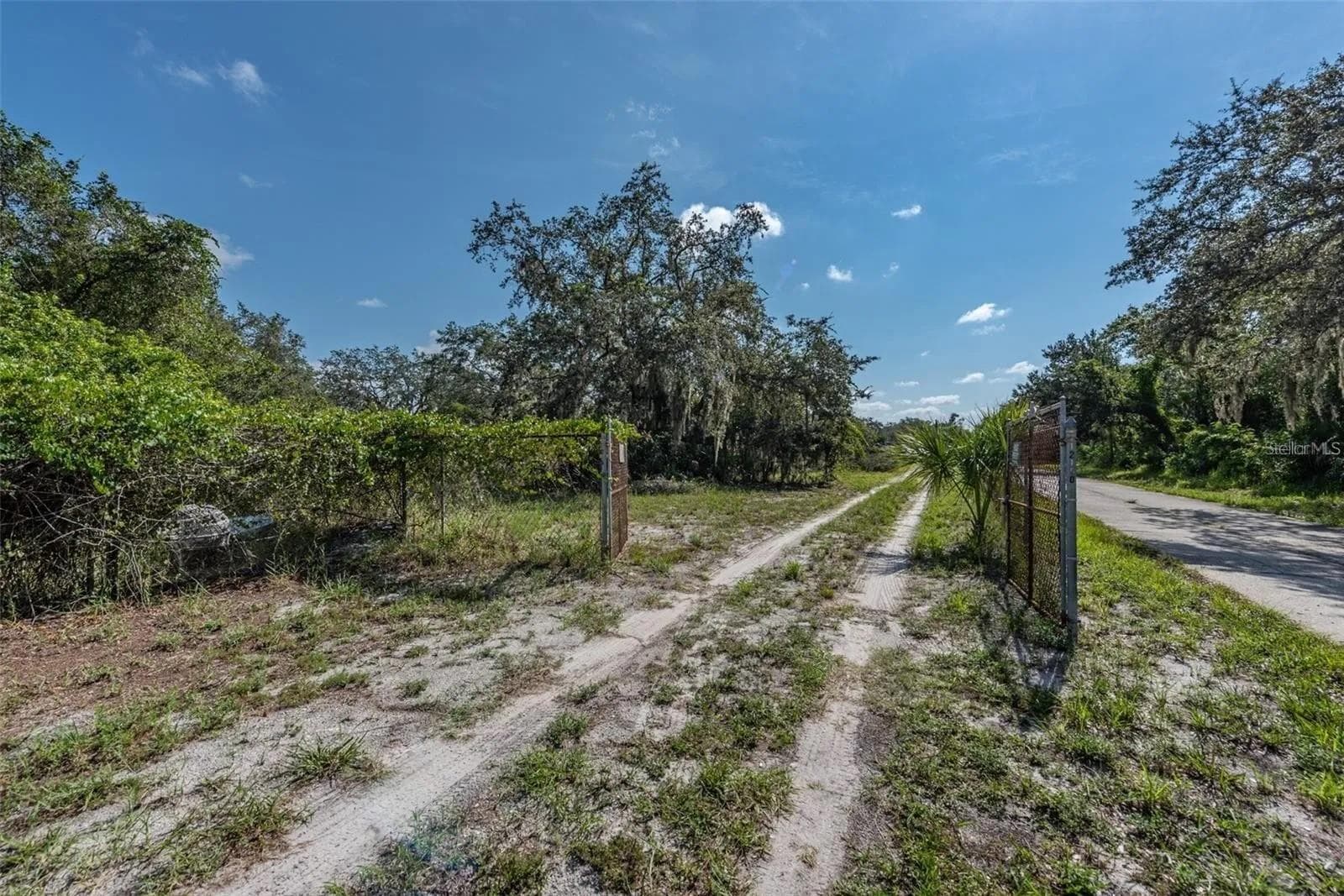 12154 Bullfrog Creek Rd photo 2