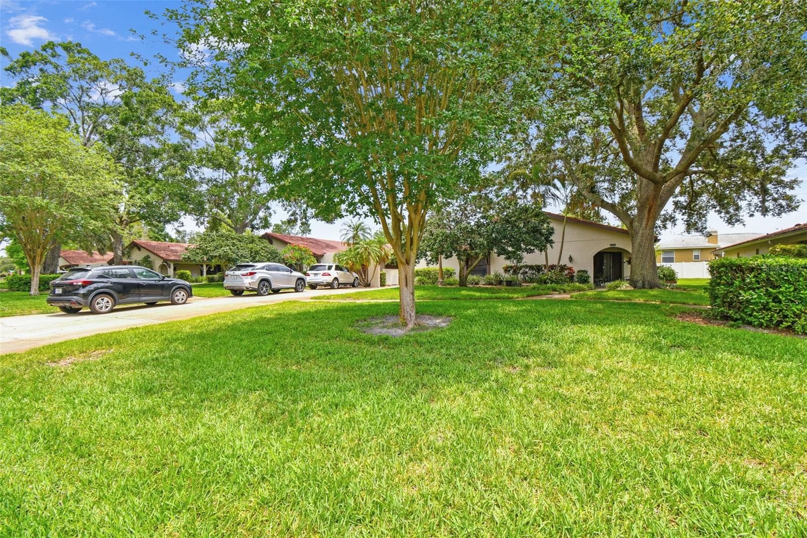 3476 Tarpon Woods Blvd photo 2