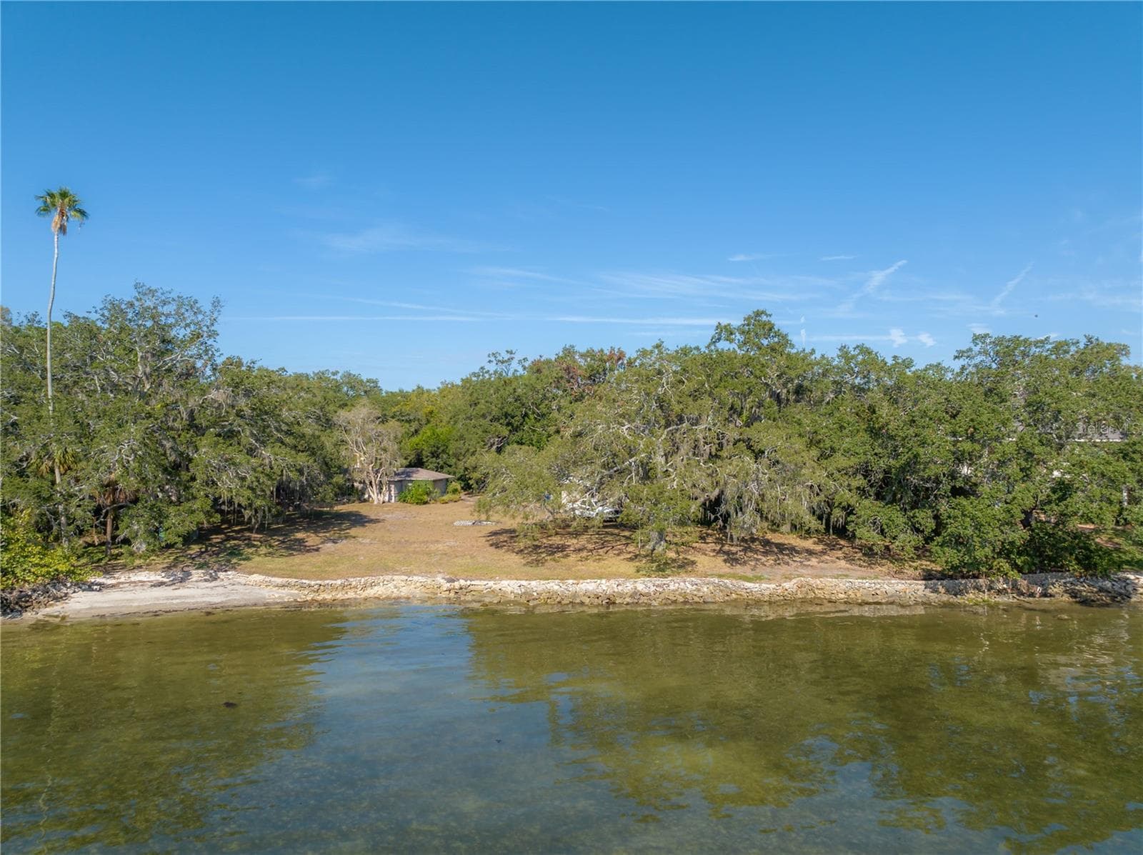 6210 Bayshore Blvd photo 4