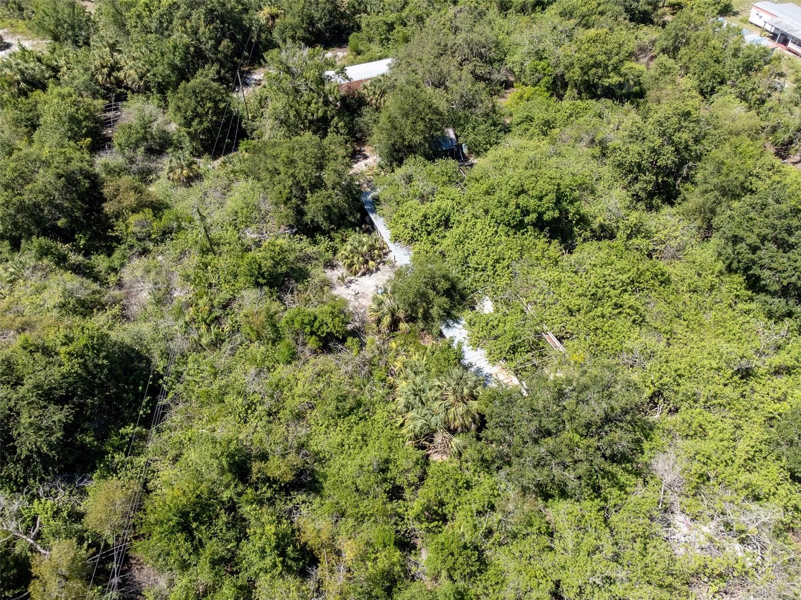 12020 Bullfrog Creek Rd photo 4