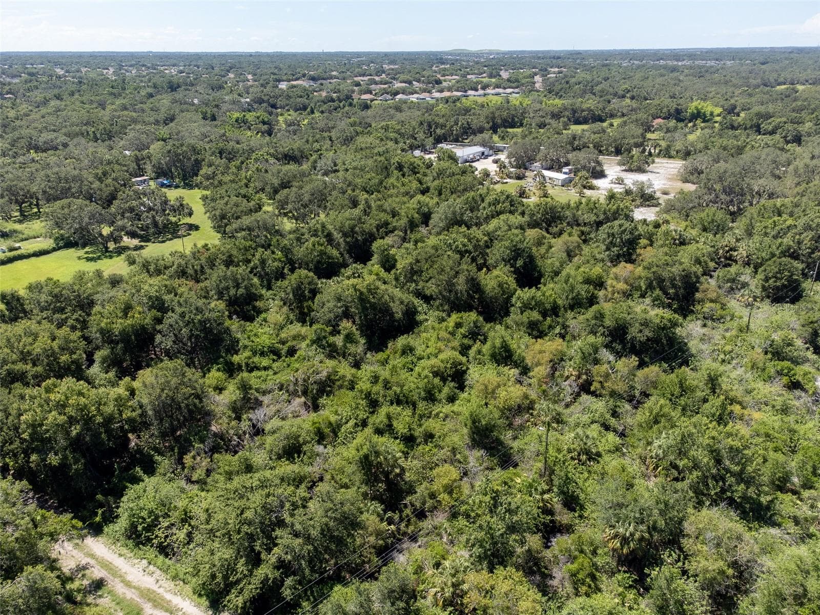 12020 Bullfrog Creek Rd photo 5