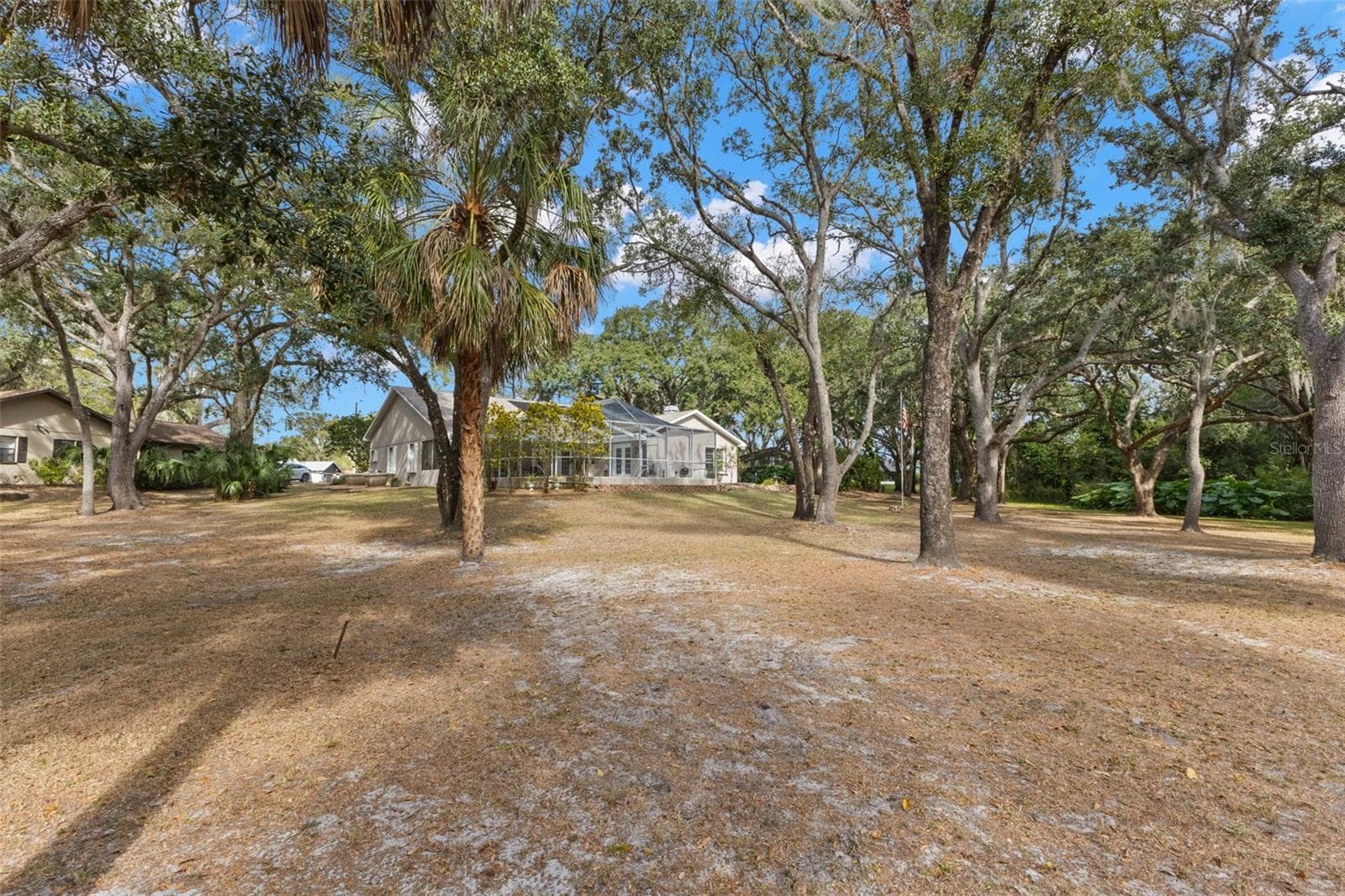 3734 Thornbush Ln photo 4