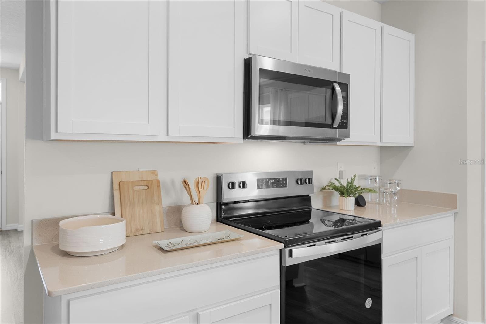 4221 Fennec Fox Way photo 4