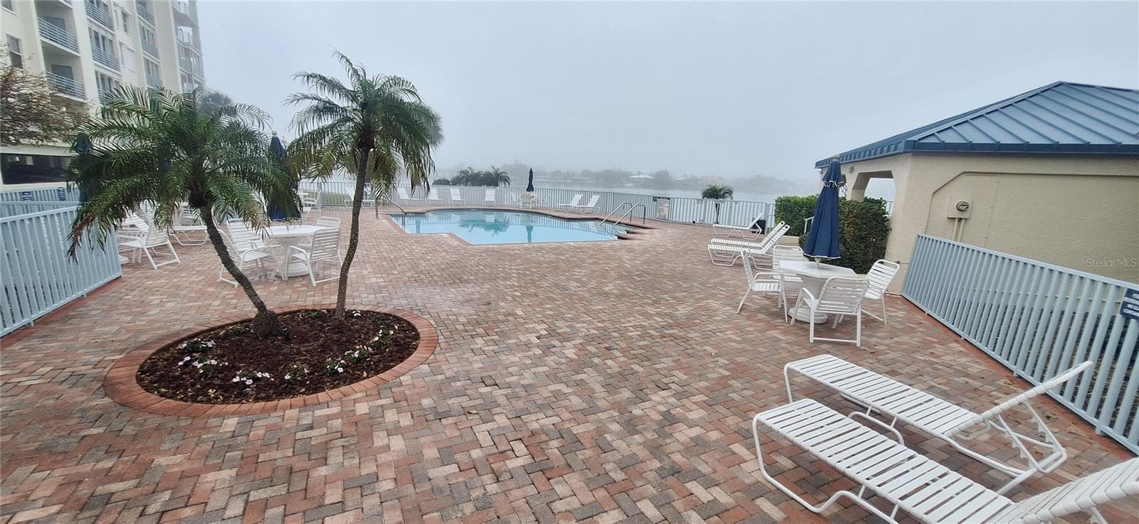 7907 Sailboat Key Blvd S #205 photo 2