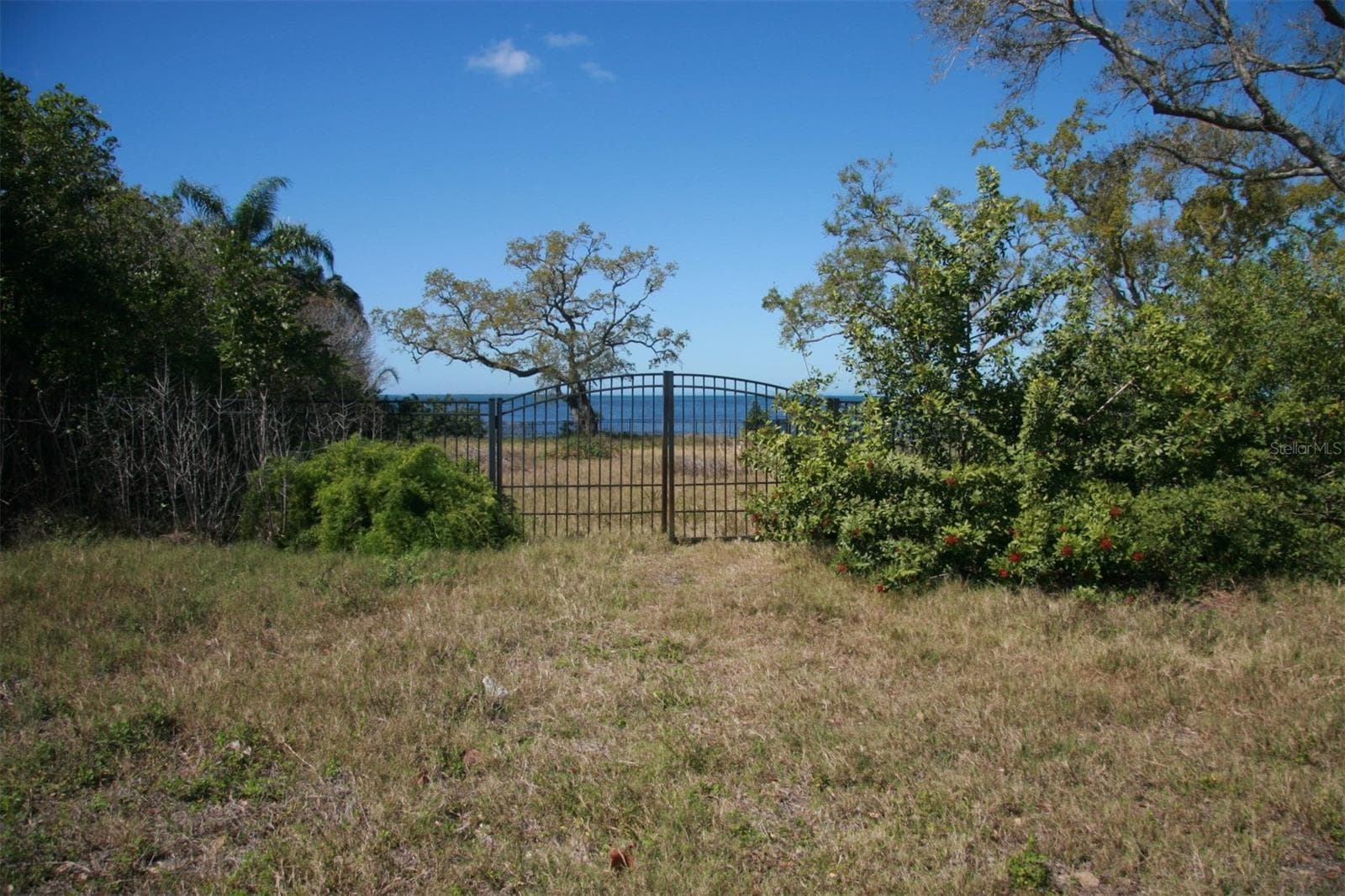 000 Bluff Blvd photo 5