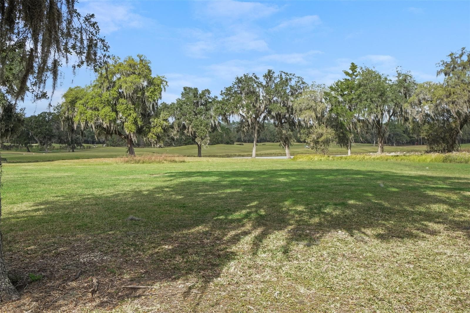 17807 Garsalaso Cir photo 5