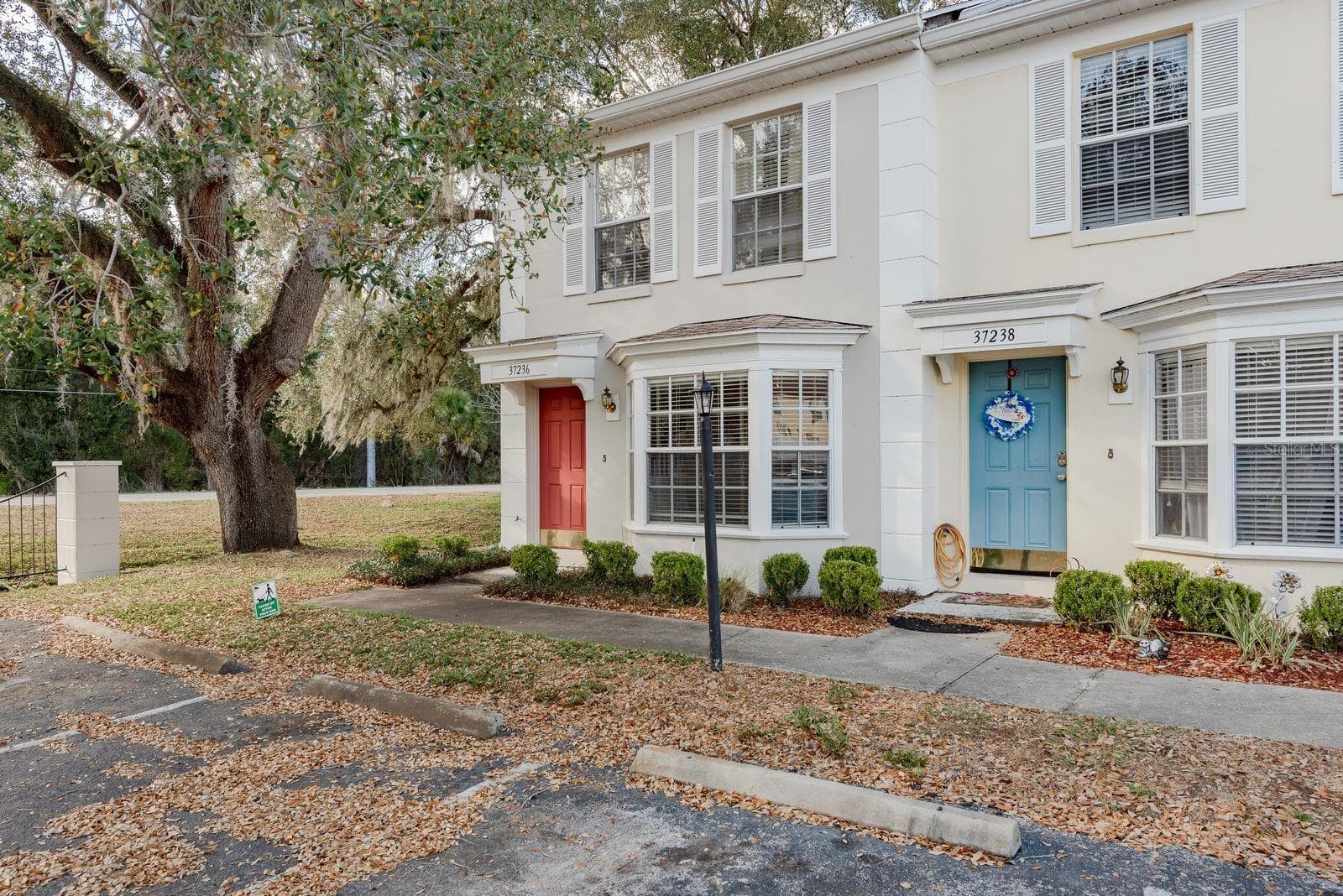 37236 Embassy Park Ln #1 photo 5