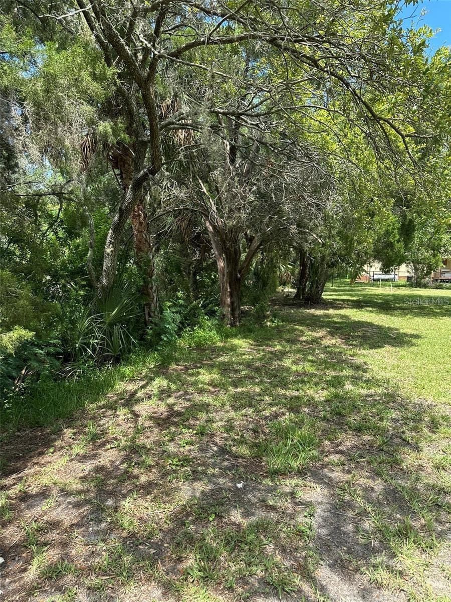 14569 And 0 Coral Dr photo 4