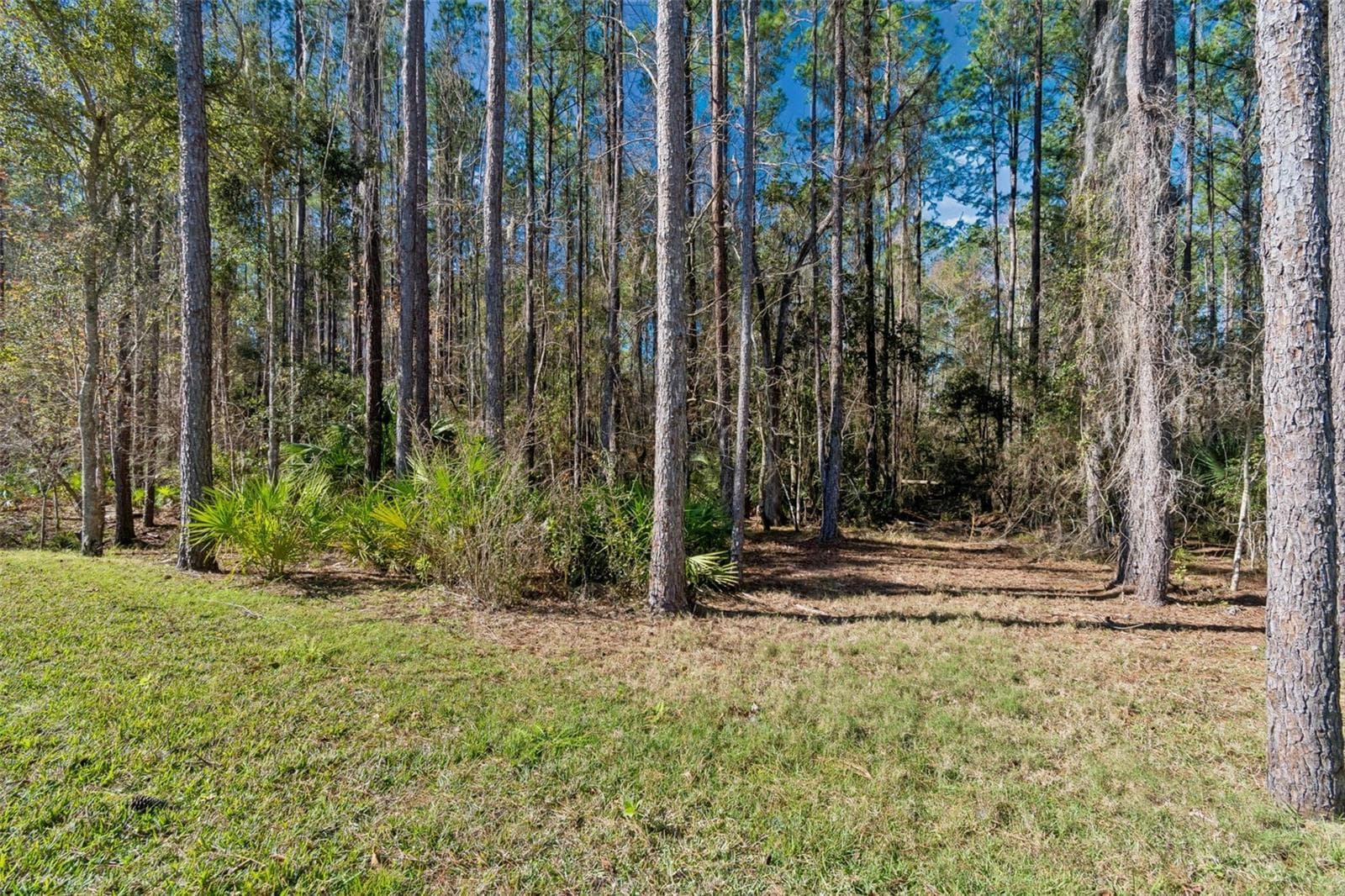 4905 Majestic Hills Loop photo 3