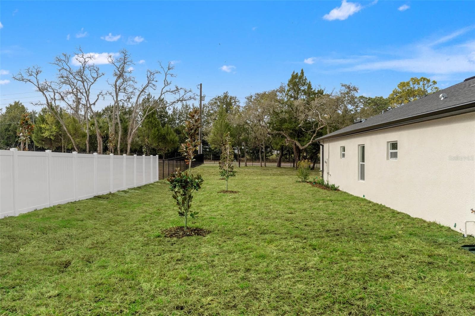 14905 Peace Blvd photo 5