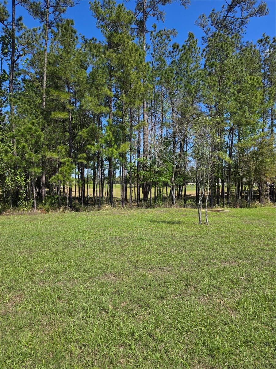 5058 Diantha Way photo 3