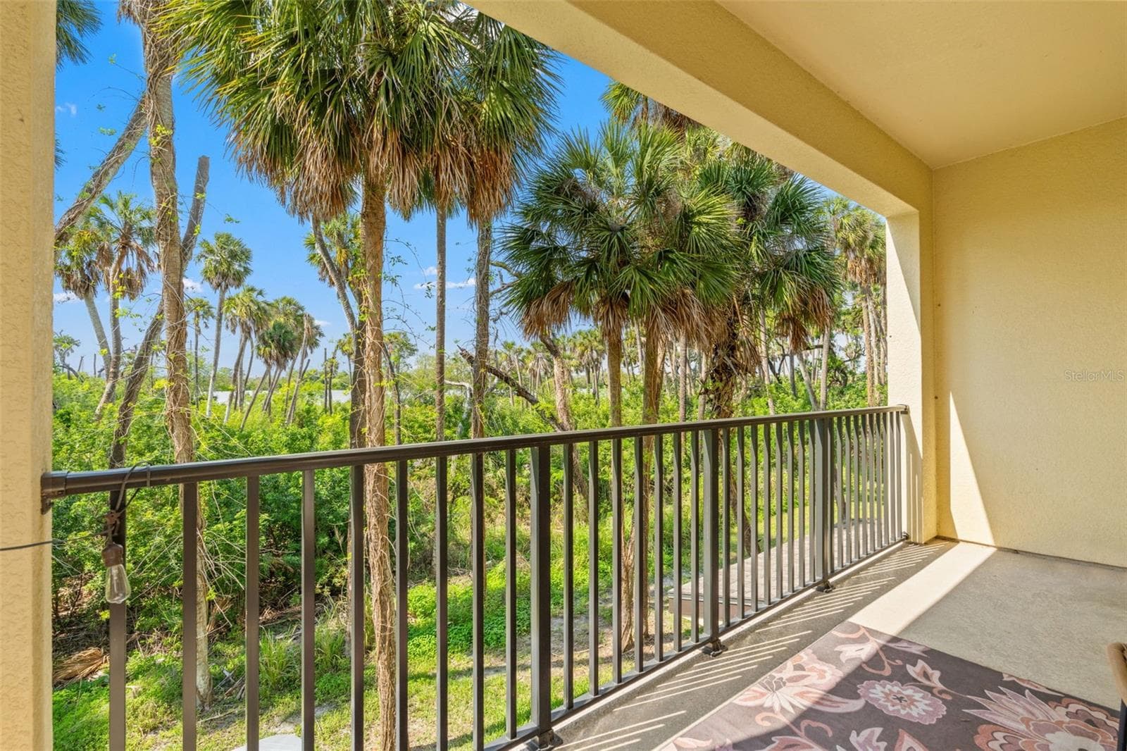 4720 Tuscan Loon Dr photo 3