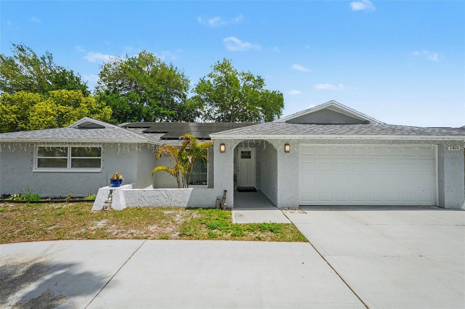 11828 Bingham Dr photo 2