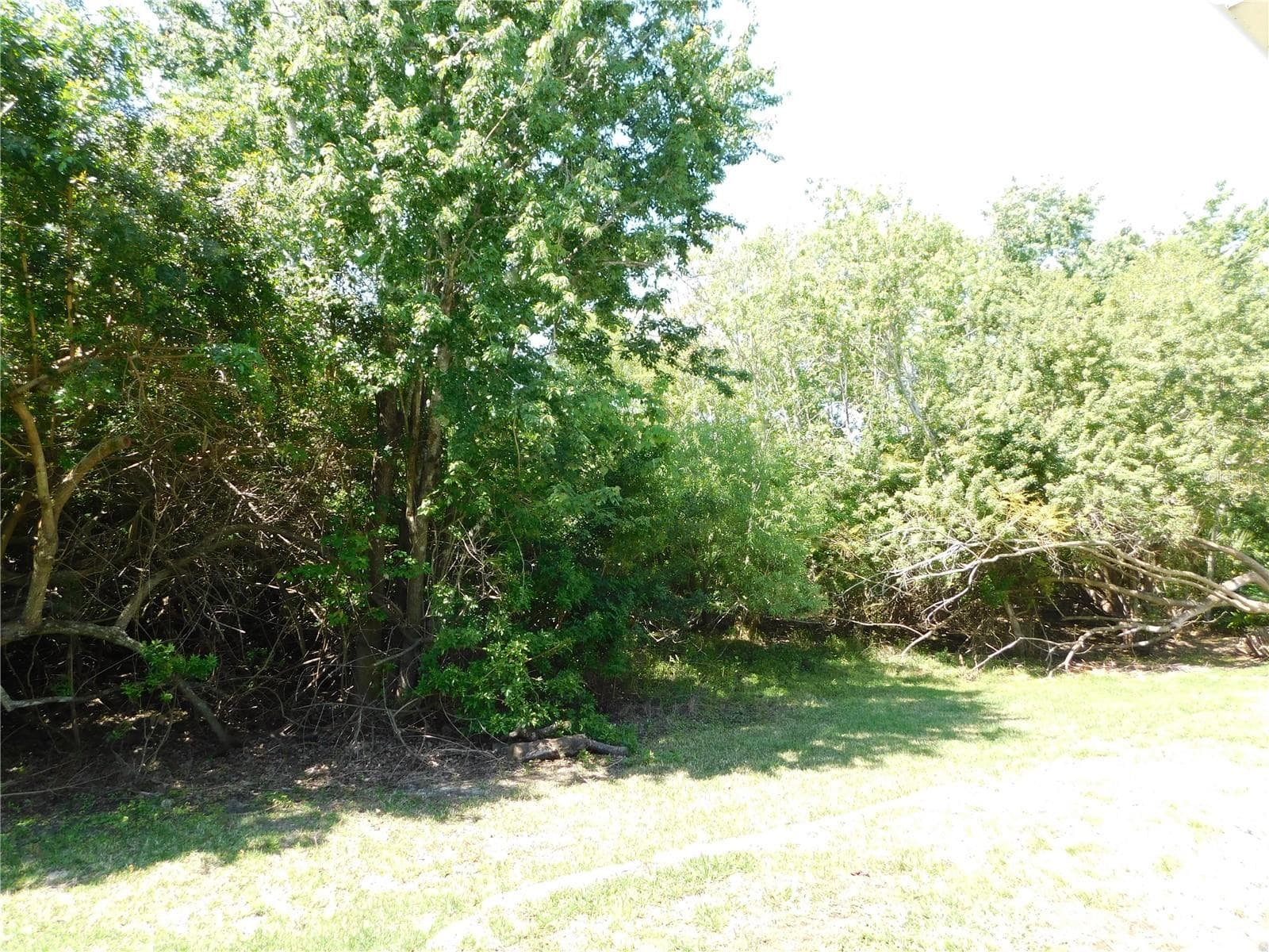 1720 Arabian Ln photo 2