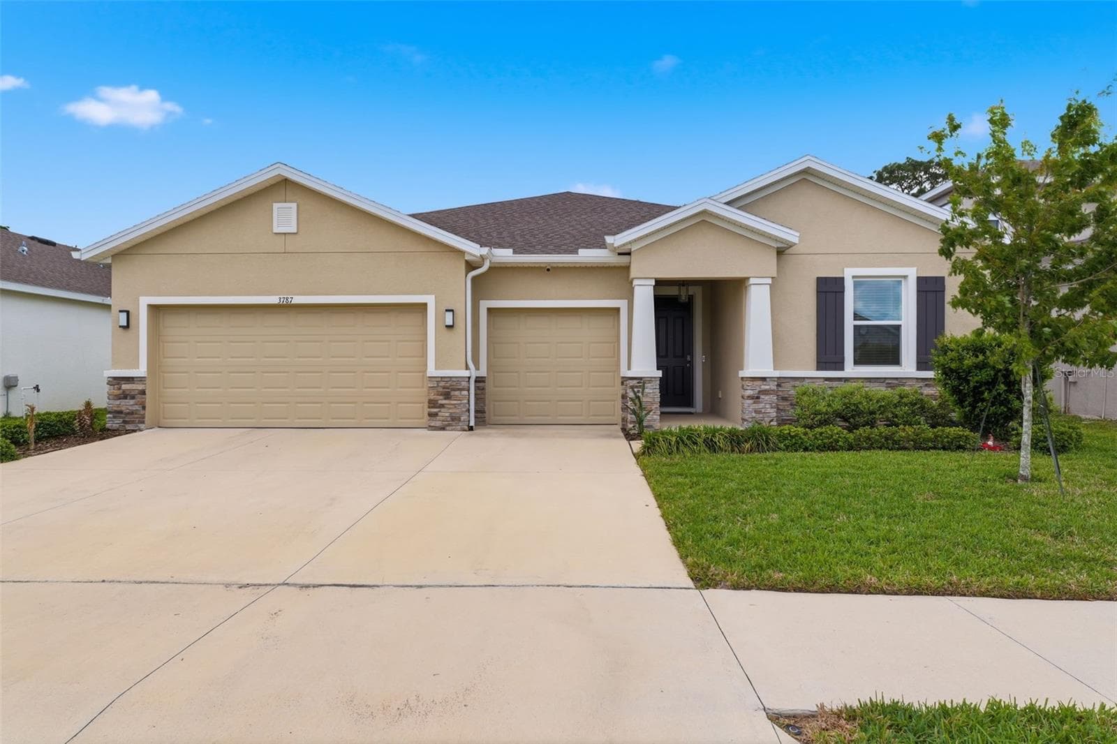 3787 Autumn Amber Dr photo 2