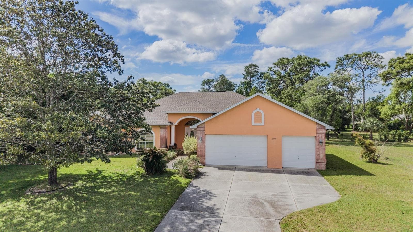 13566 Rudi Loop photo 4