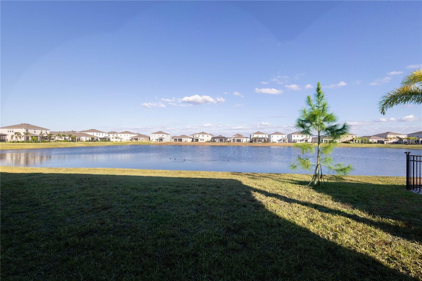 345 Mangrove Manor Dr photo 2