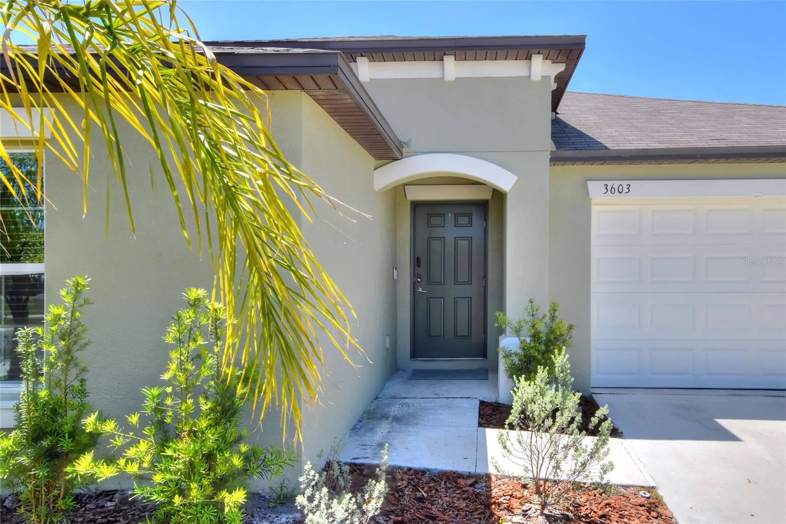 3603 Natural Trace St photo 5