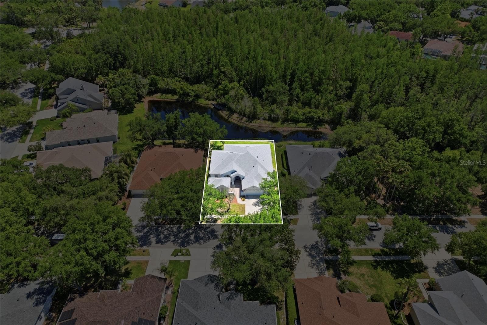 10206 Shadow Branch Dr photo 4