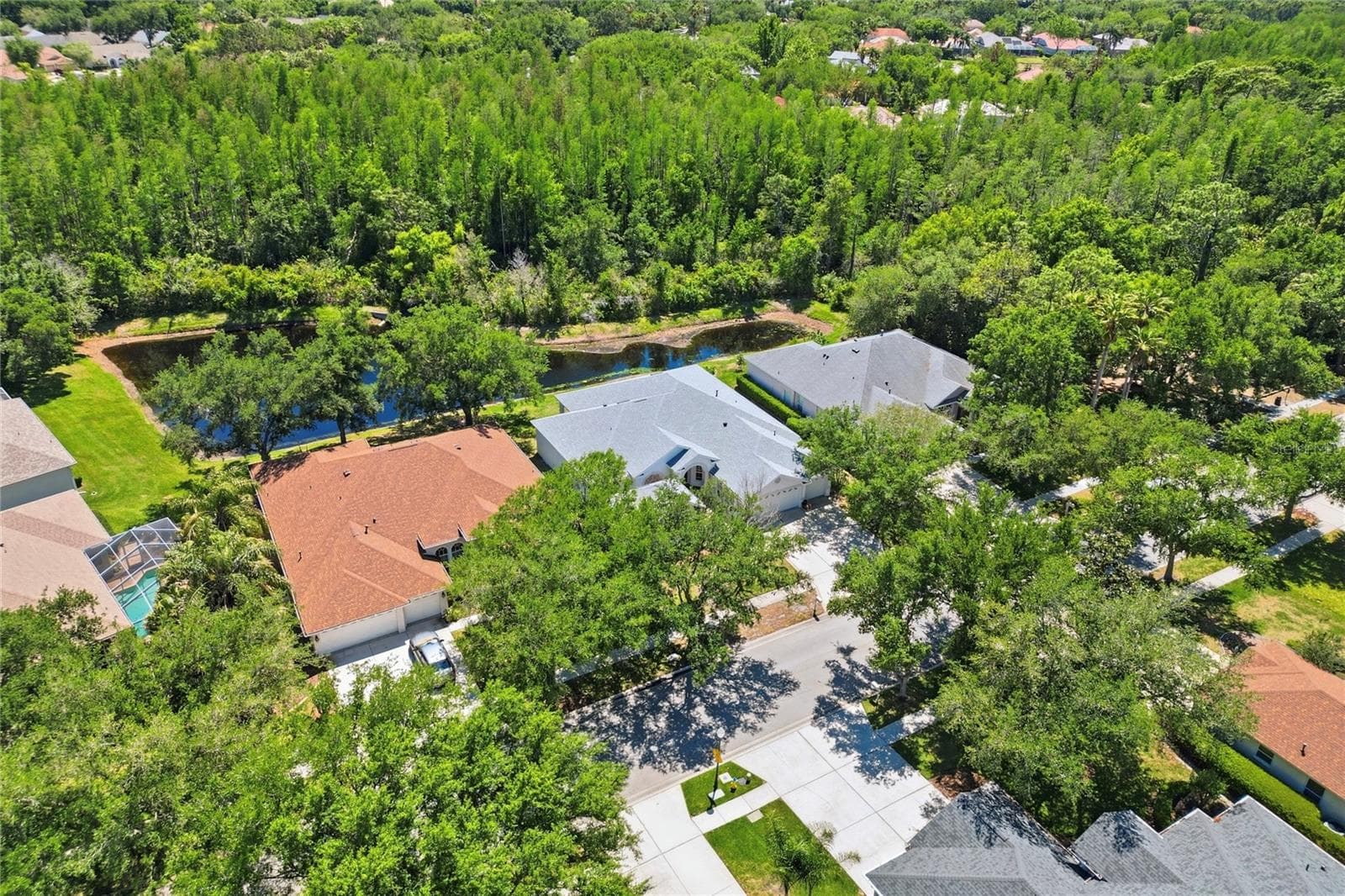 10206 Shadow Branch Dr photo 5