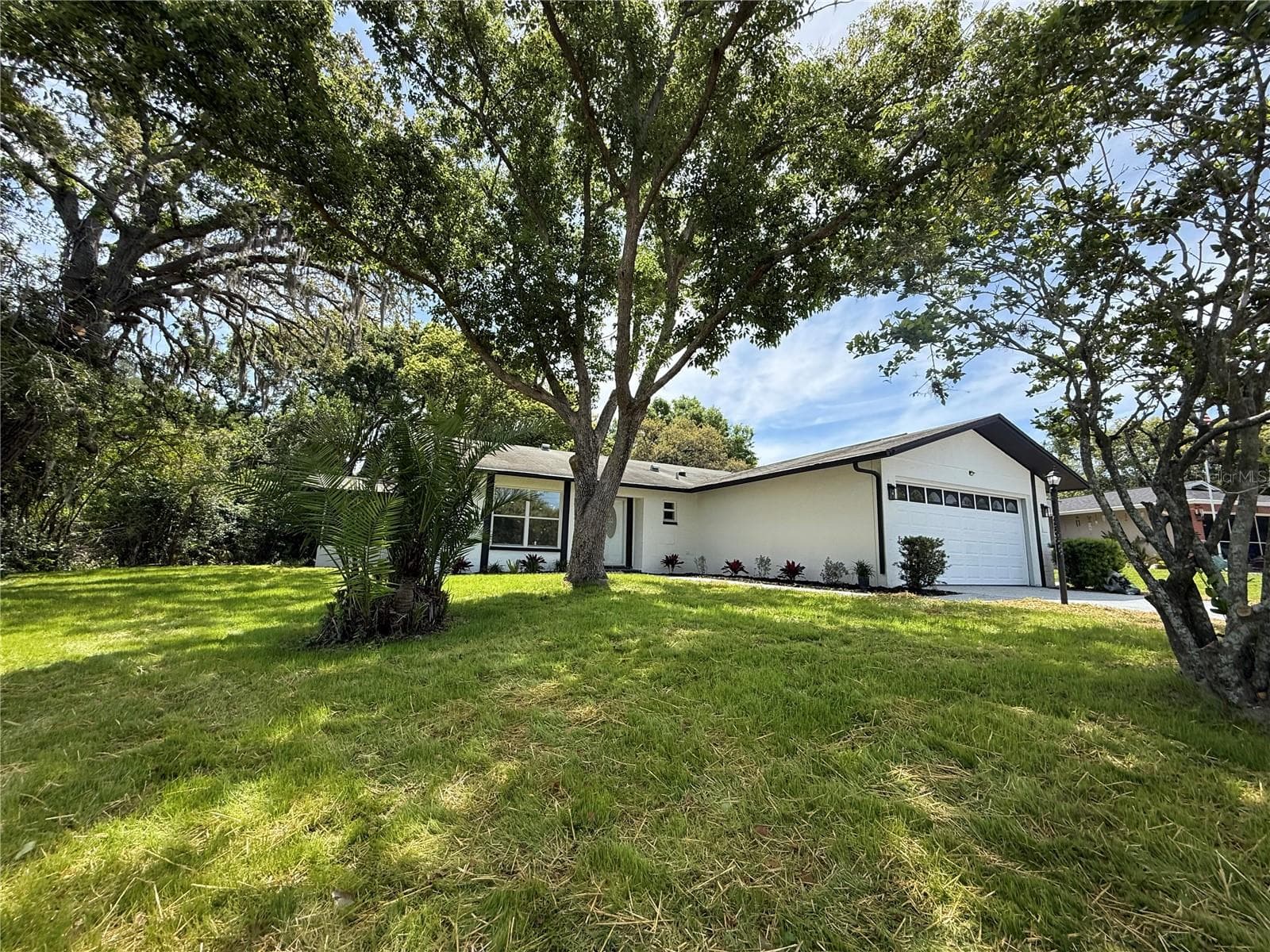10501 Hardwood CT photo 3