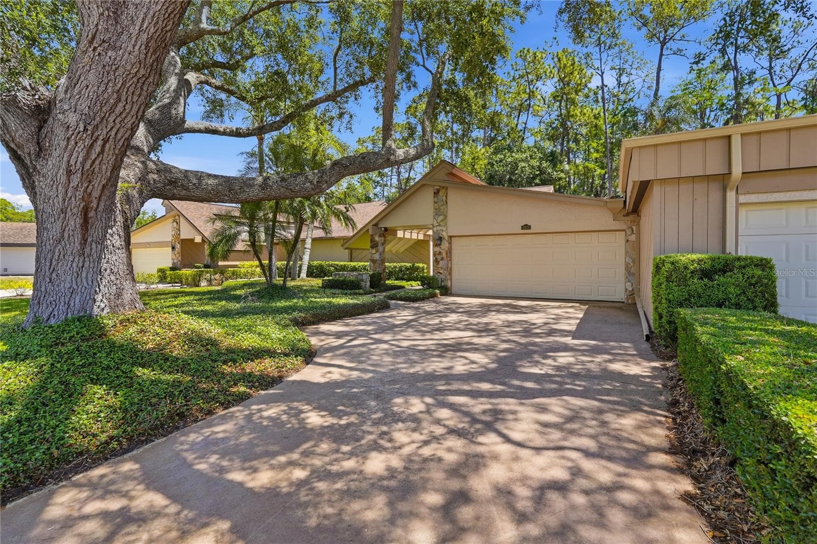 3071 Bolt Dr photo 3