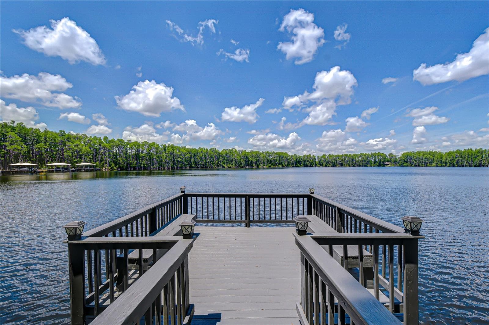 20915 Lake Vienna Dr photo 3