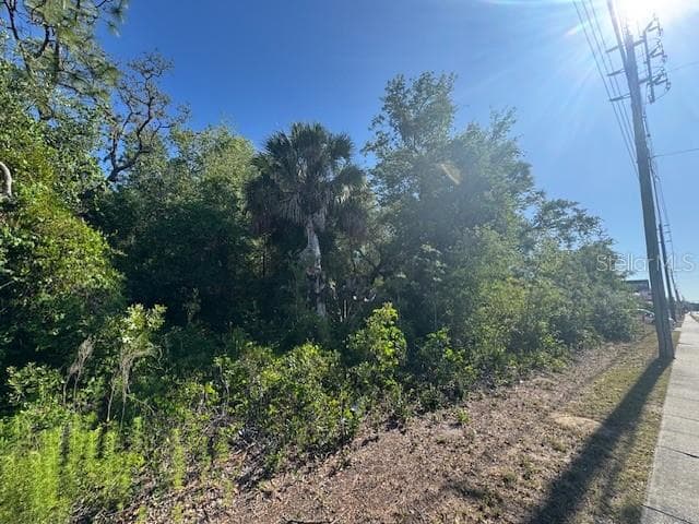 10331 State Road 52 photo 4