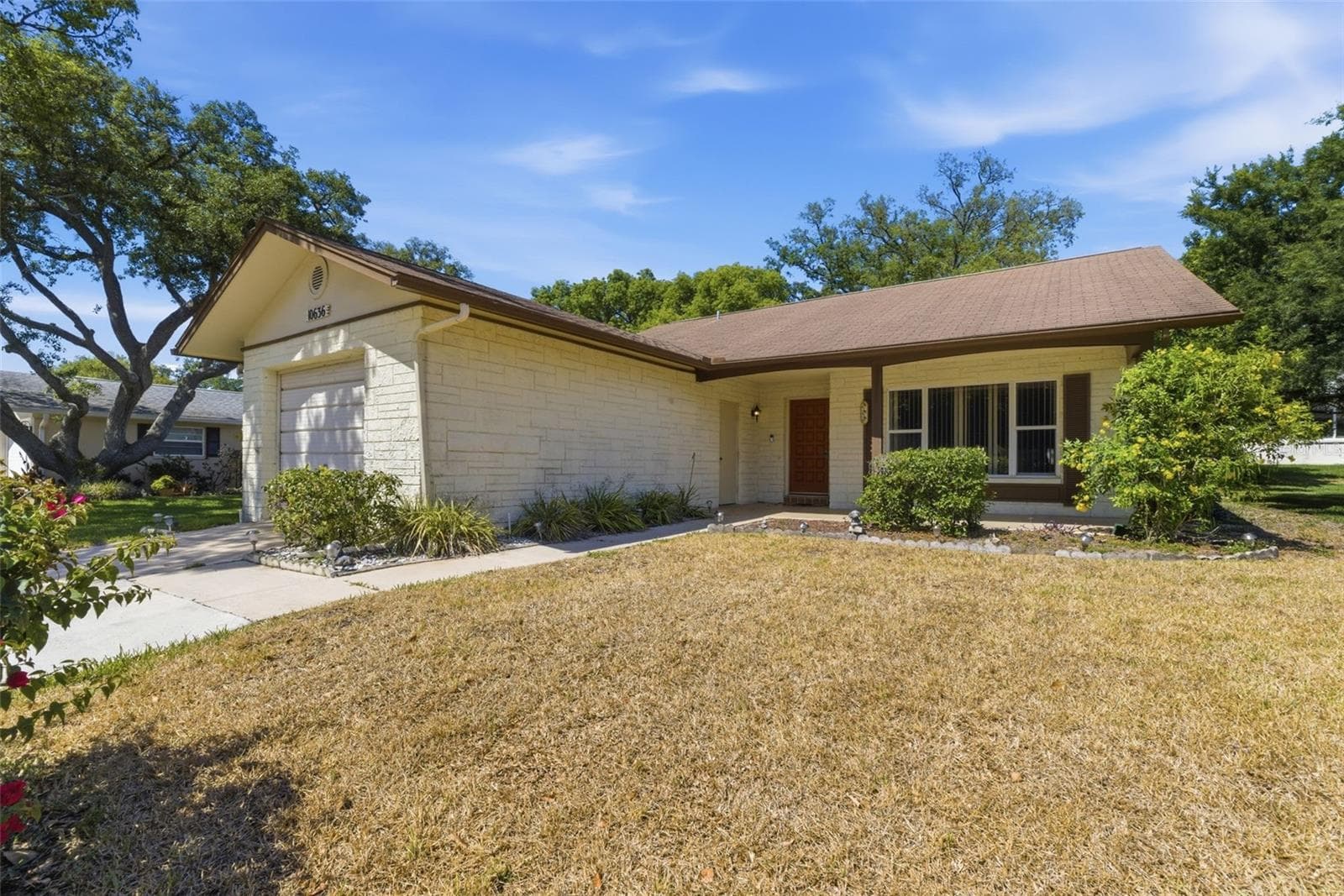 10636 Salamanca Dr photo 3