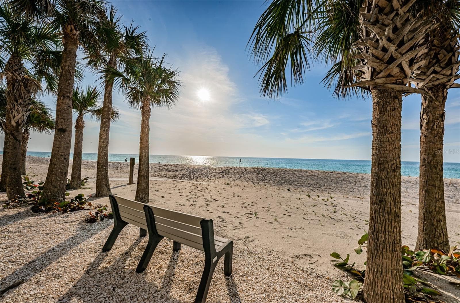 1660 Gulf Blvd #208 photo 4