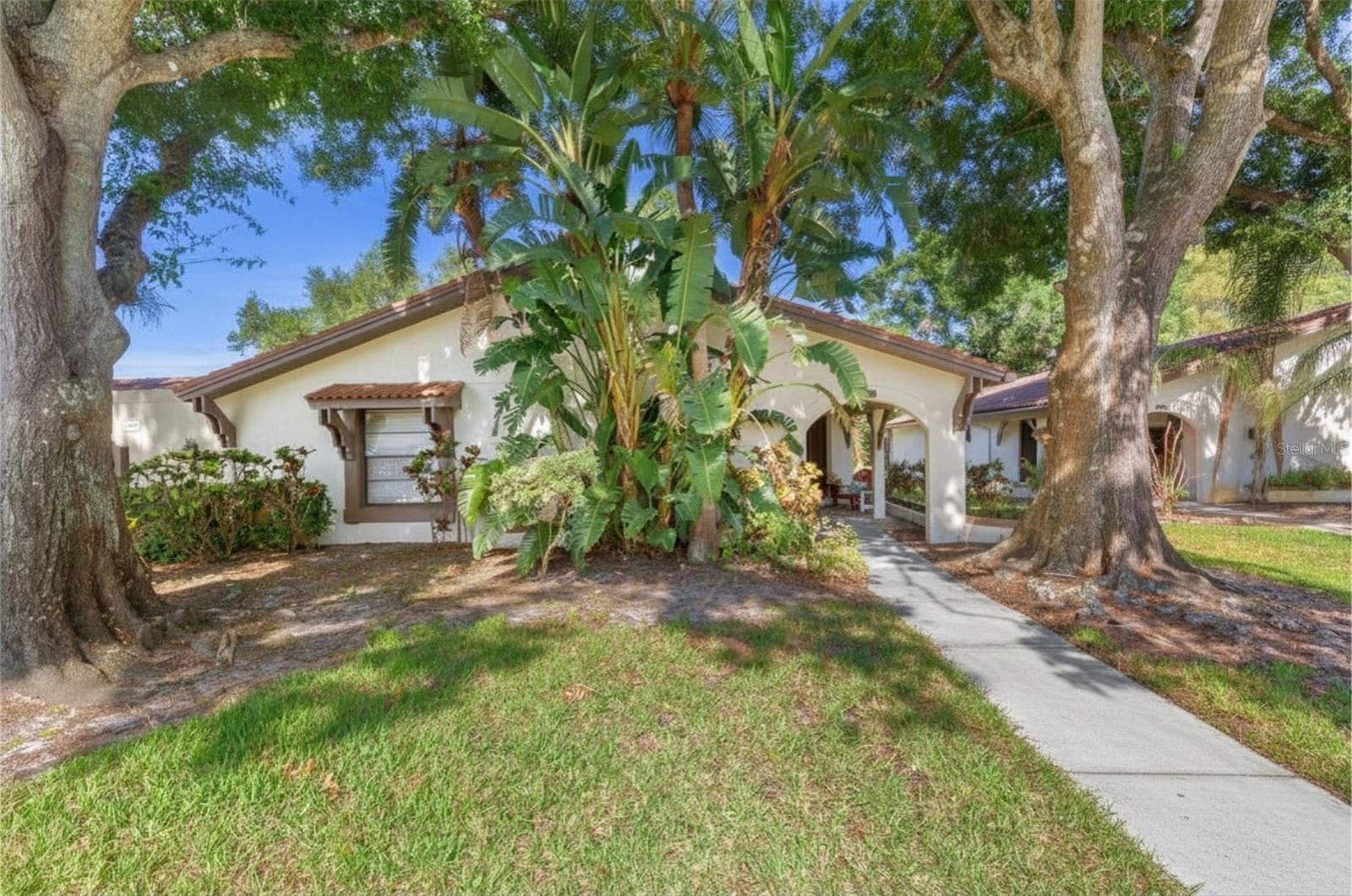 3446 Tarpon Woods Blvd photo 2