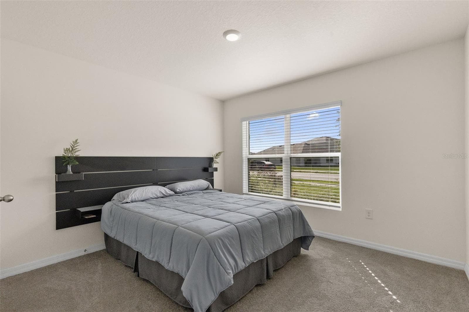 37207 Sharks Eye Ln photo 5