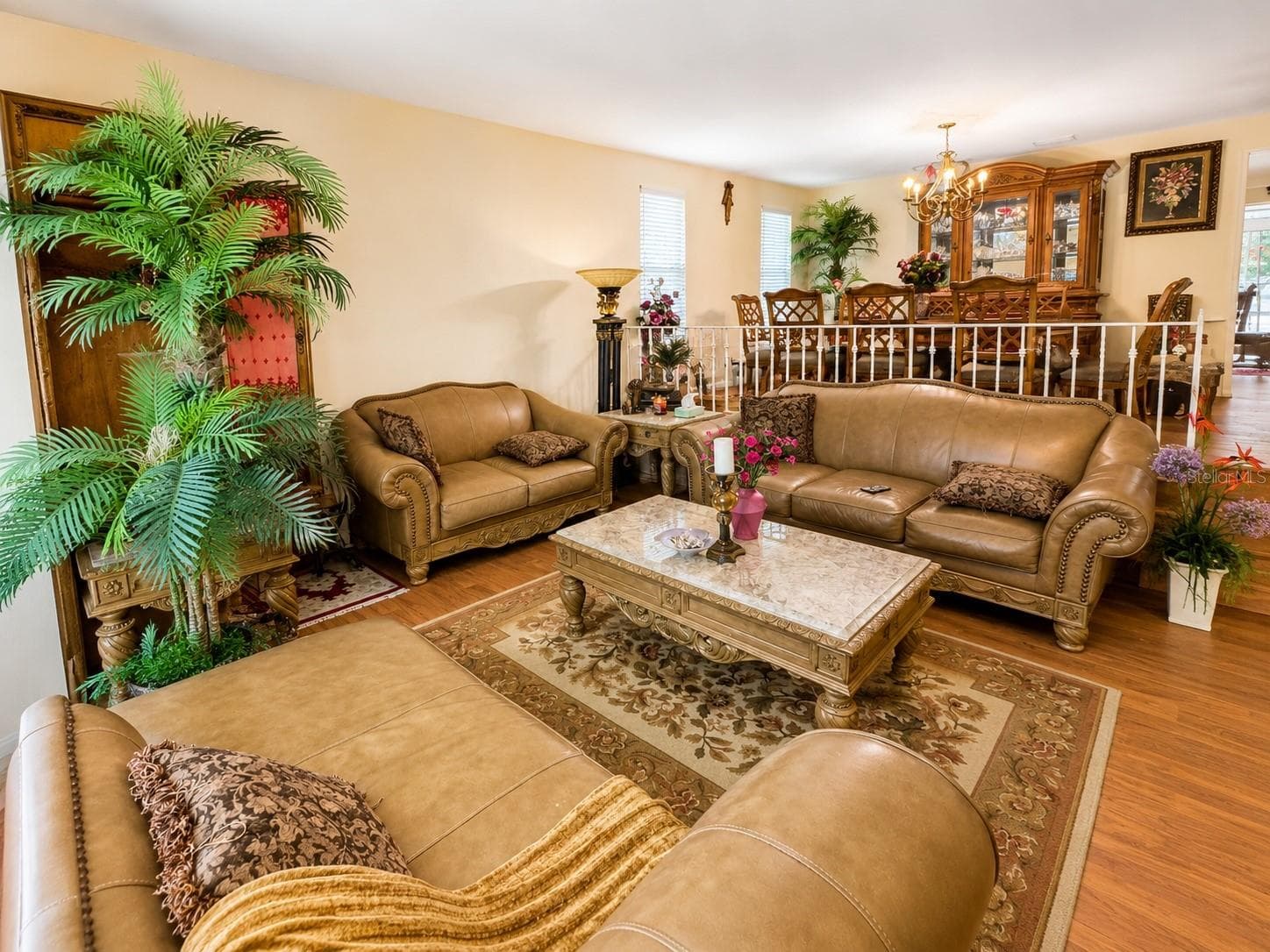 3146 Carlos Dr photo 5