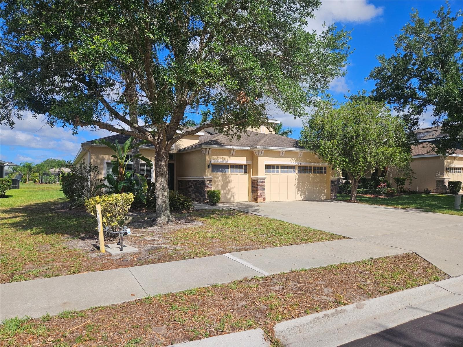 118 Peony CT photo 3