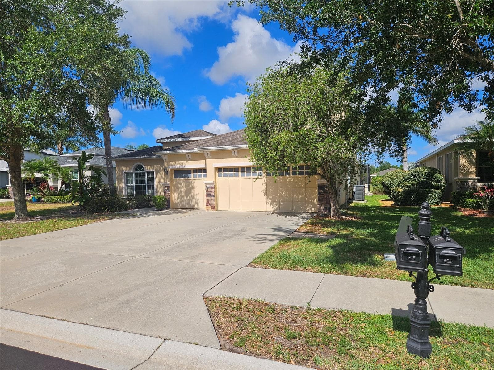 118 Peony CT photo 4