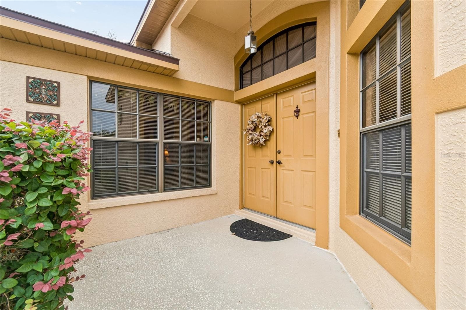 9311 Haas Dr photo 3