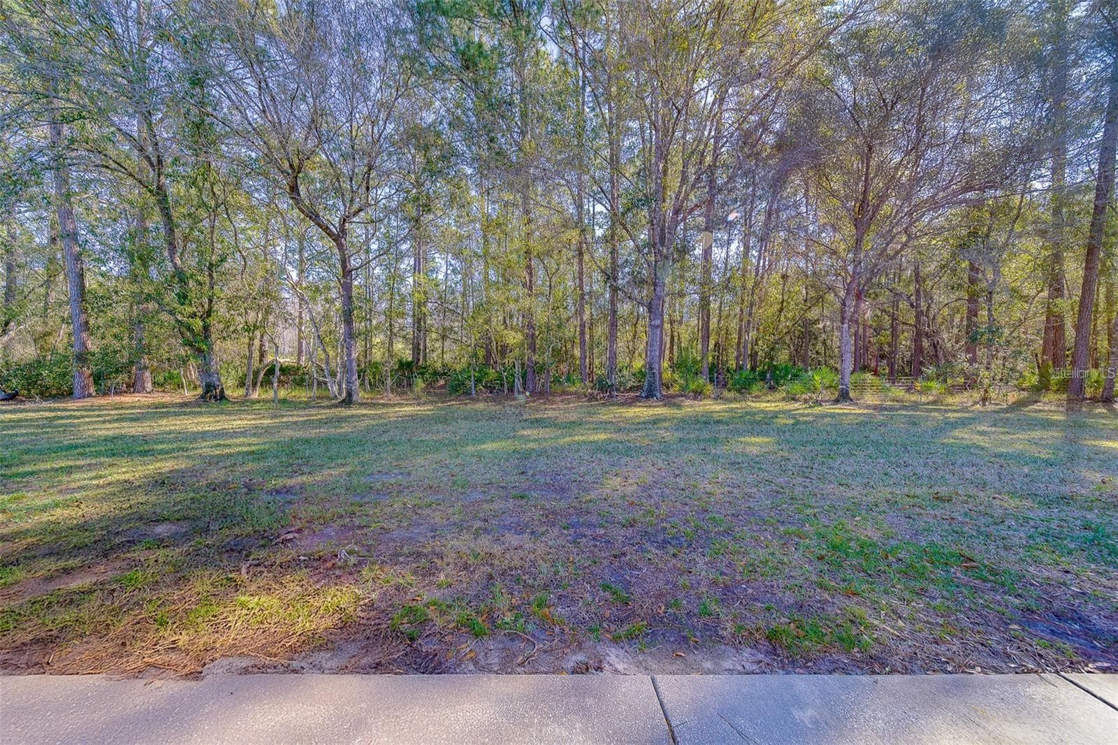 4405 Connery CT photo 3