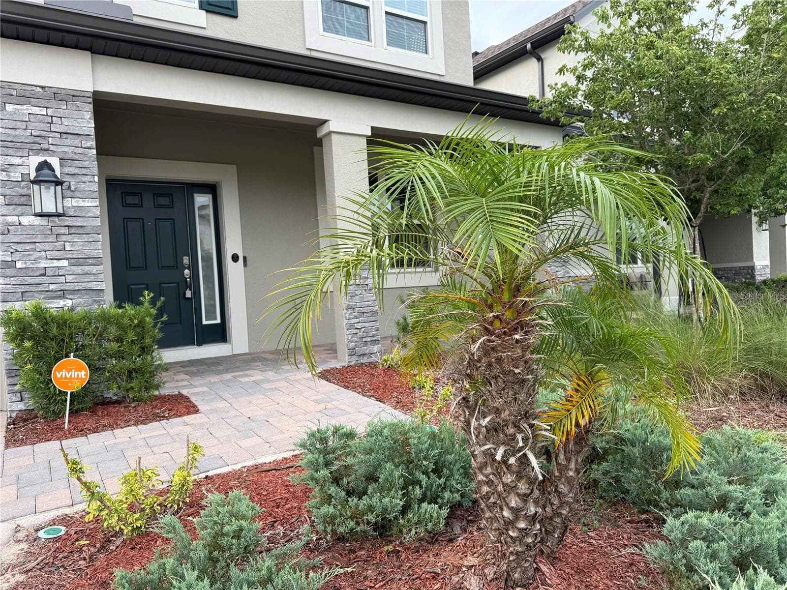 33263 Sycamore Leaf Dr photo 4