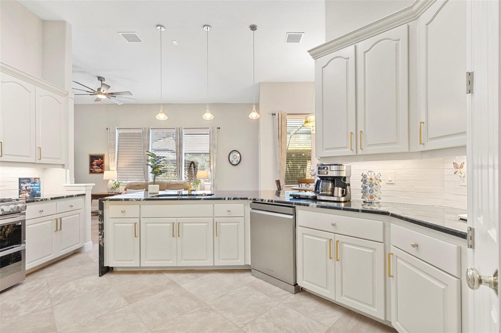 20203 Cane River Way photo 3