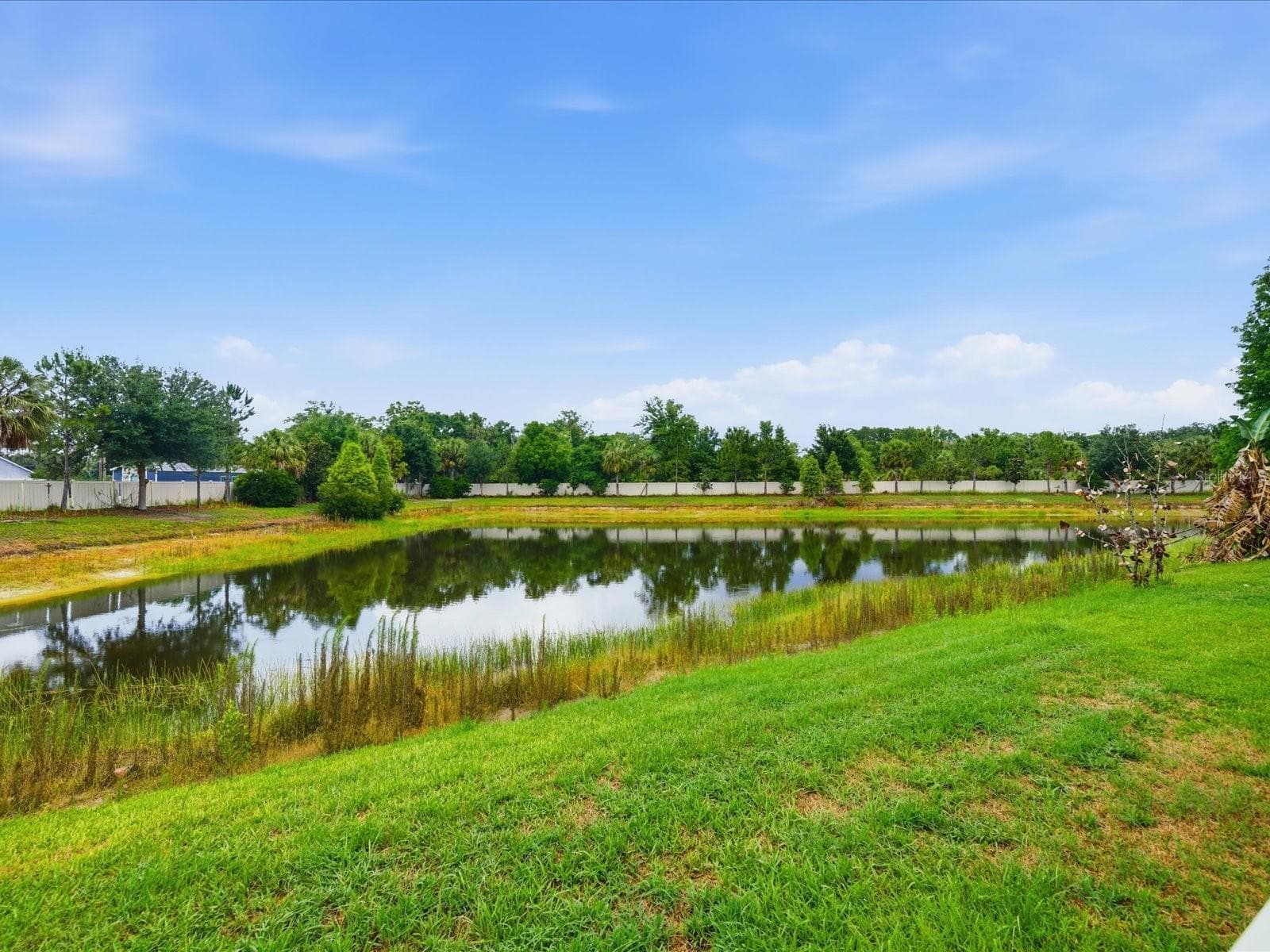 17735 Bright Wheat Dr photo 4