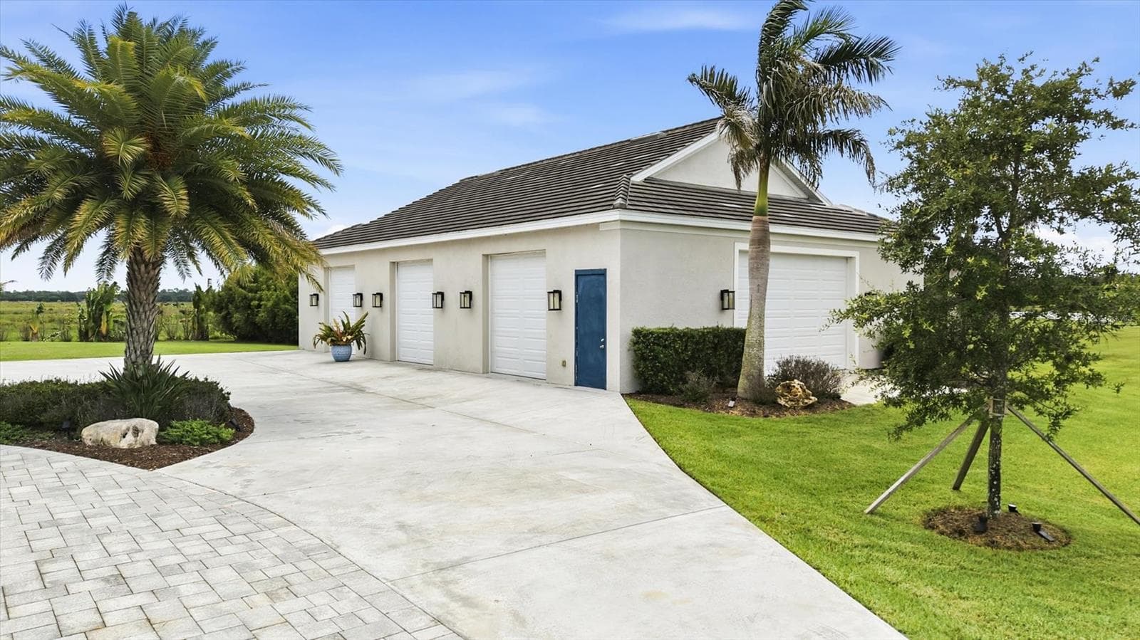 3467 Compound CT photo 5