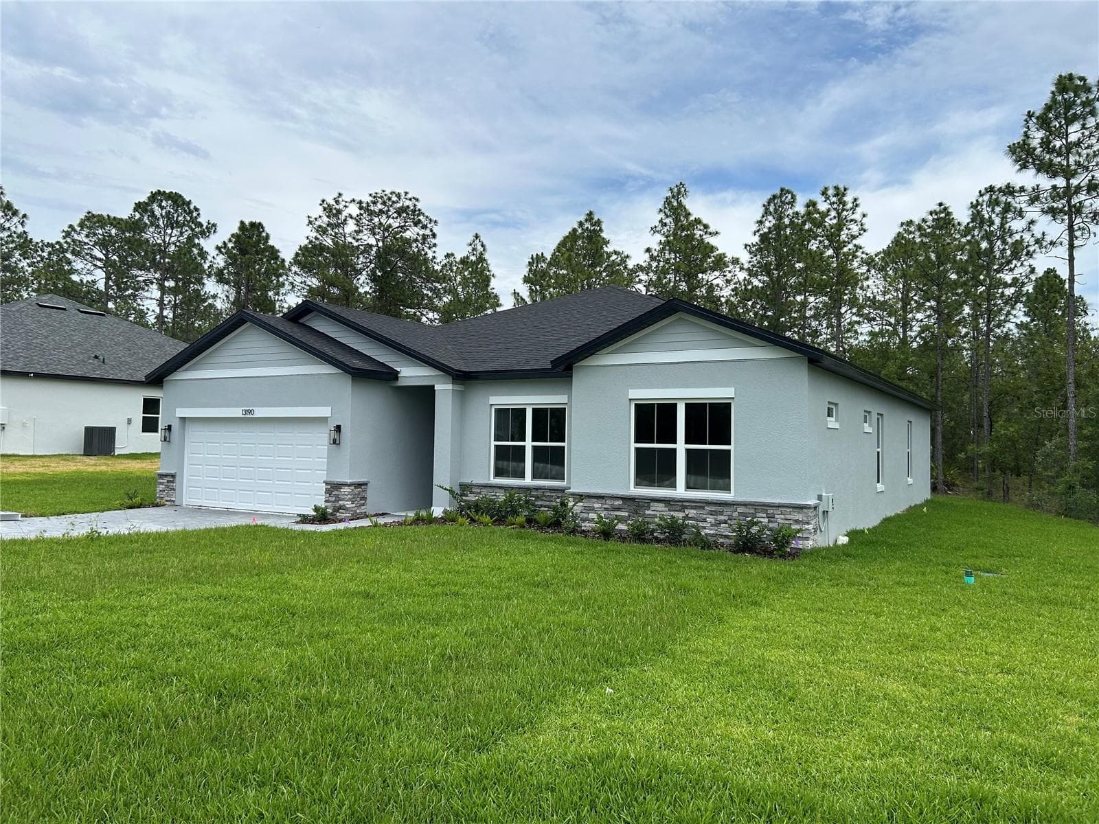 13190 English Fir CT photo 2