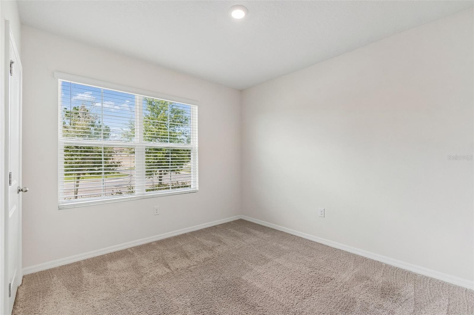 35525 Stella Vast Dr photo 5