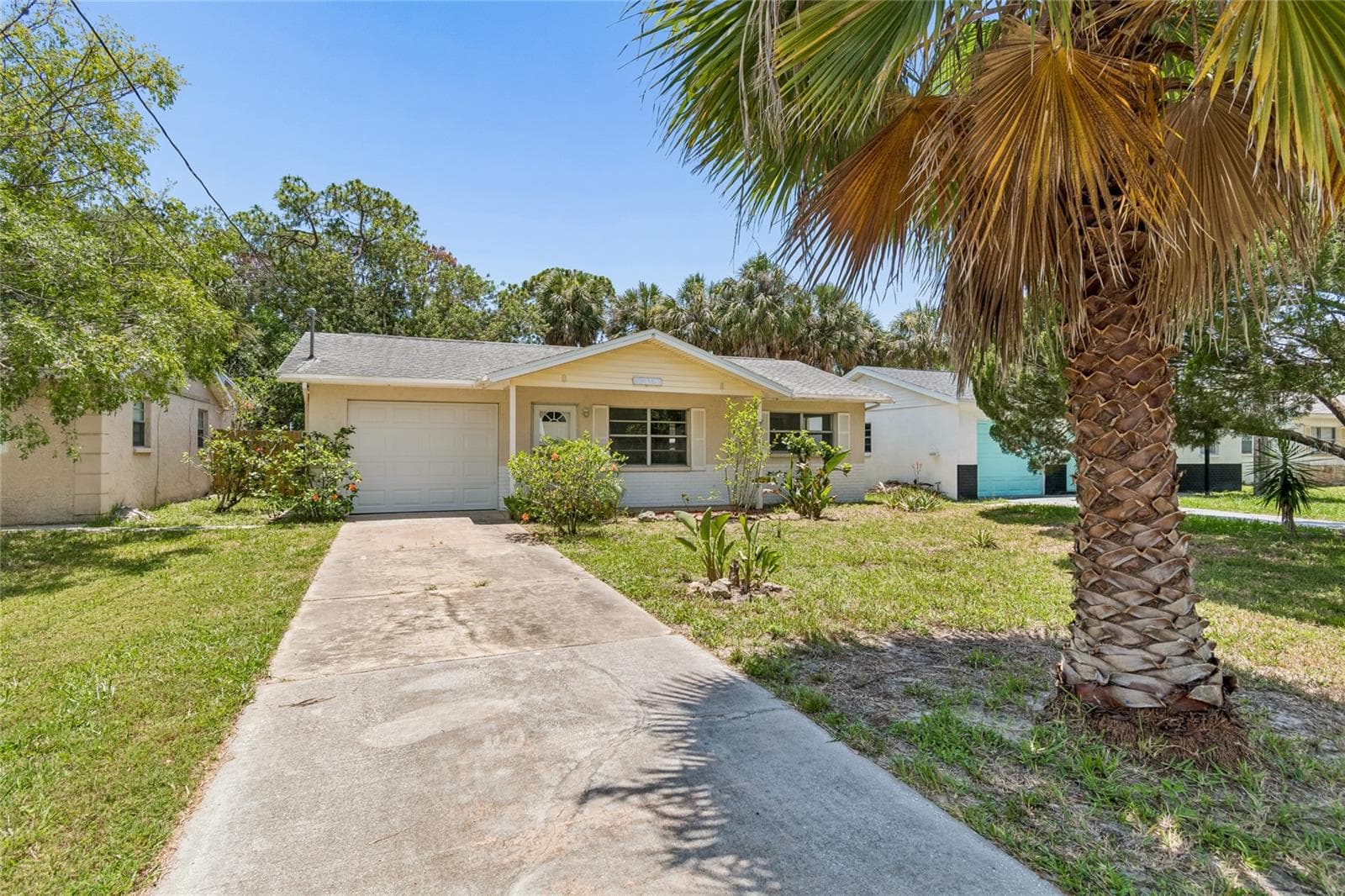 6826 Driftwood Dr photo 3