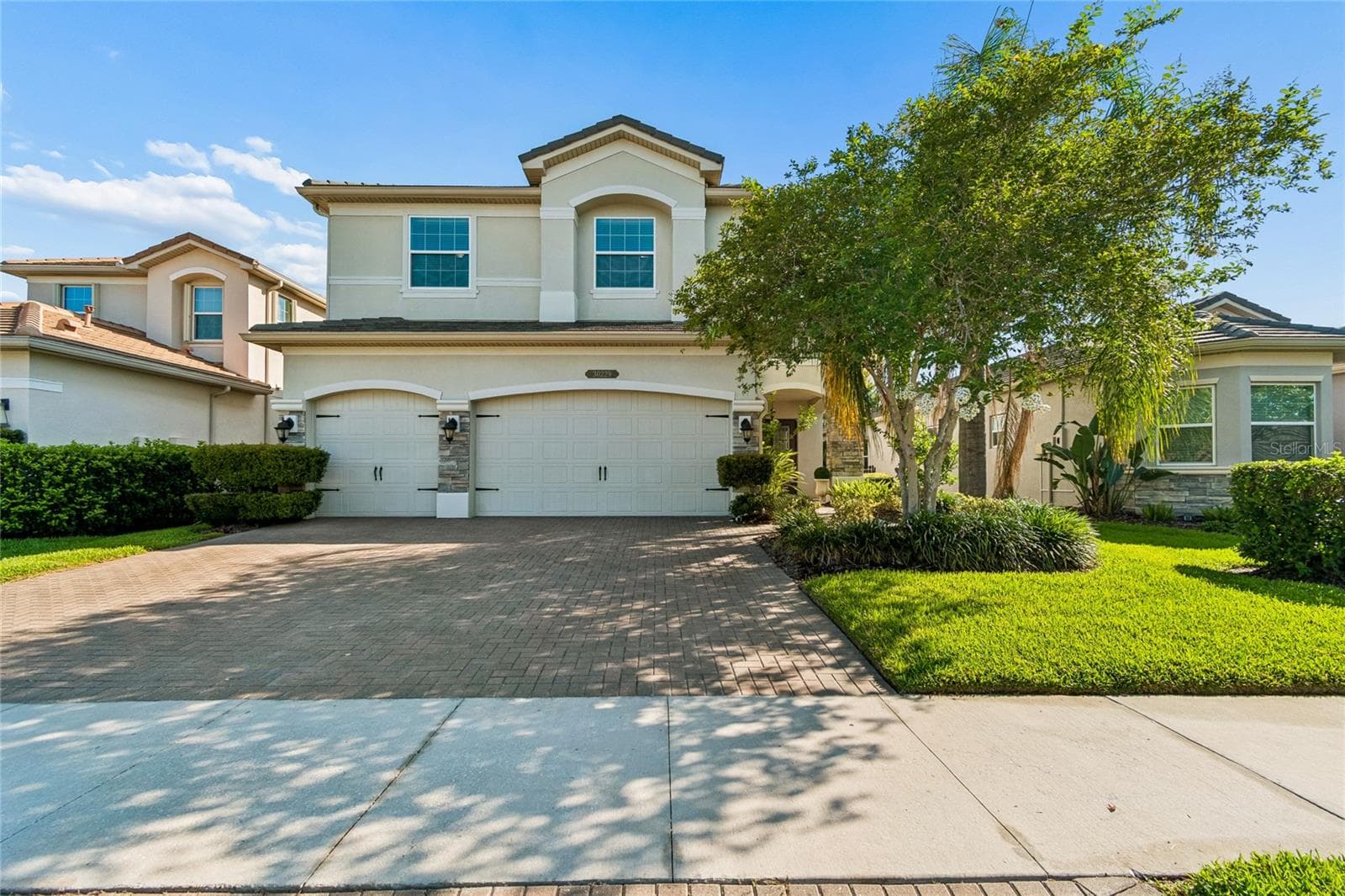 30229 Southernwood CT photo 3