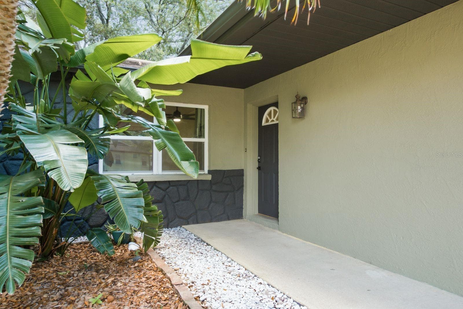 442 Evergreen Dr photo 5