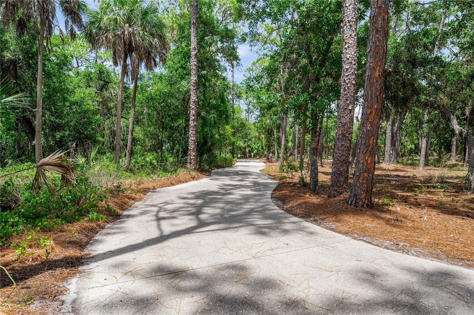 2810 Sarasota Golf Club Blvd photo 4