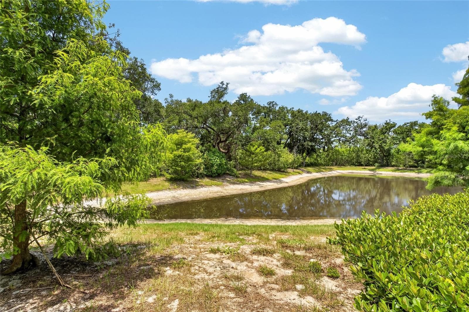 2911 Jacob Crossing Ln photo 2